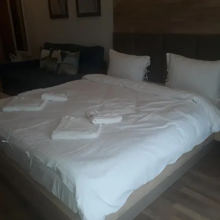 Lux Premier 09 公寓 科帕奥尼克