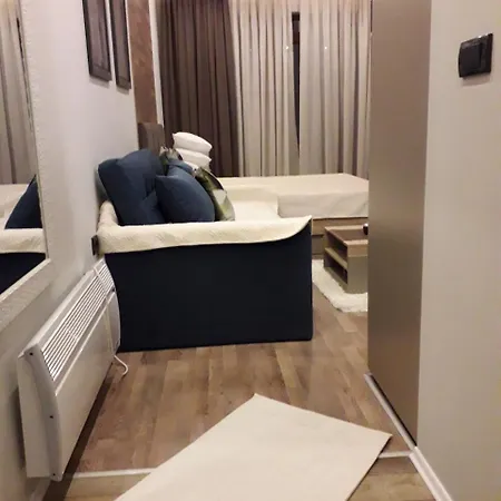 公寓 Lux Premier 09 科帕奥尼克