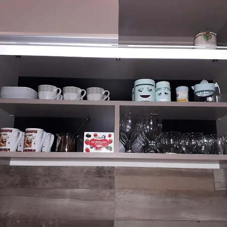 公寓 Lux Premier 09 科帕奥尼克